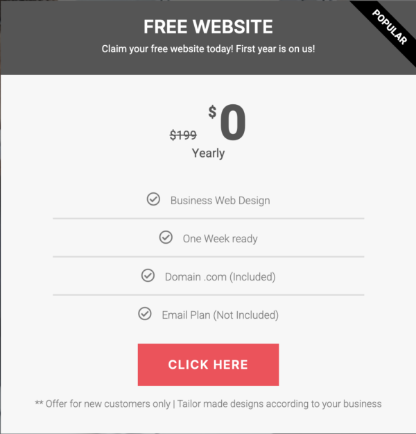 free website first year